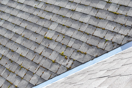 Different Two Parts Of Grey Bitumen Asphalt Shingles Roof One Part Overgrown With Green Moss Other Clean.